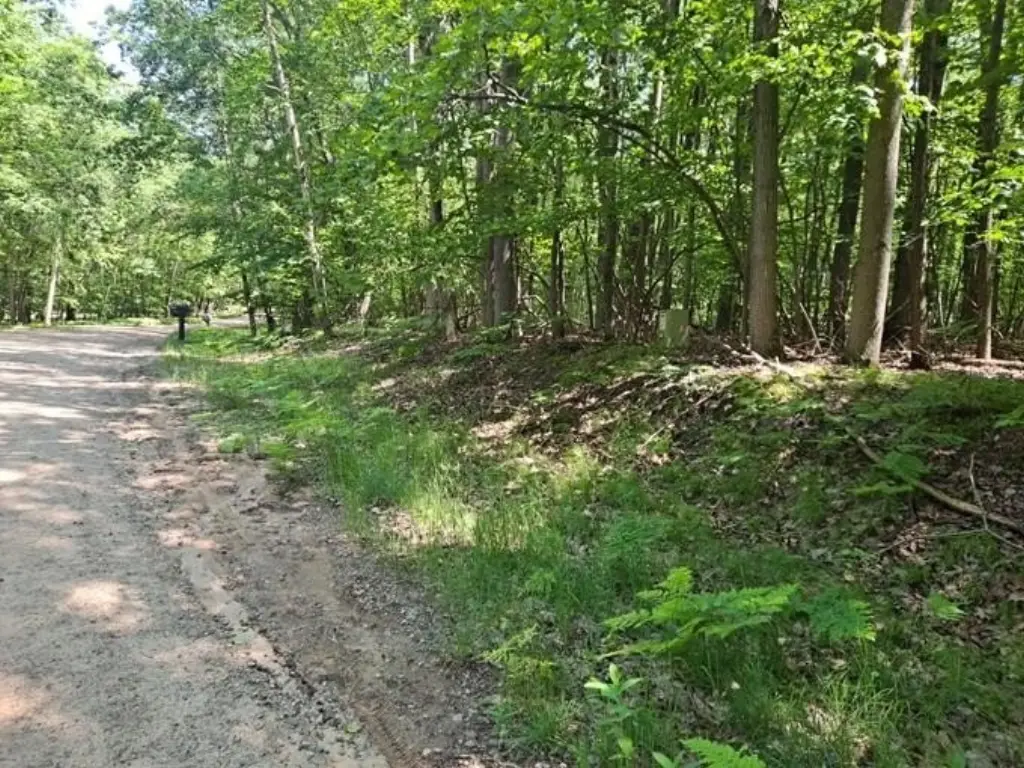 Picture 12