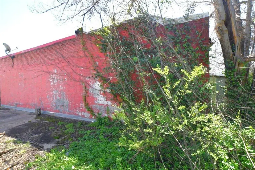 Picture 6