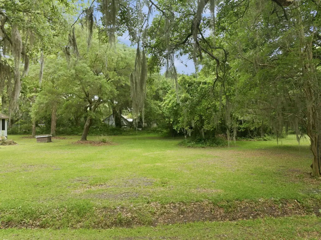 Picture 2