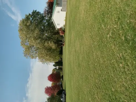 Albany, IL Quarter Acre Lot