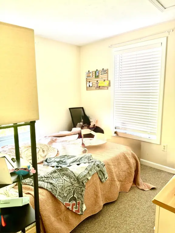 Picture 42