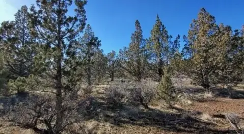 Prineville Land with Recreational Potential