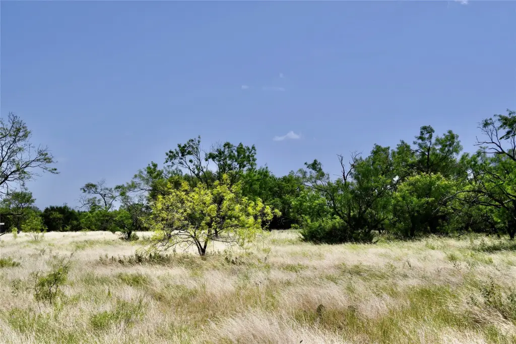 Picture 22