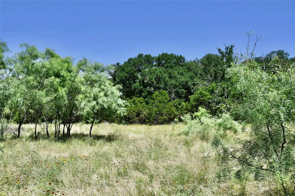 Picture 38