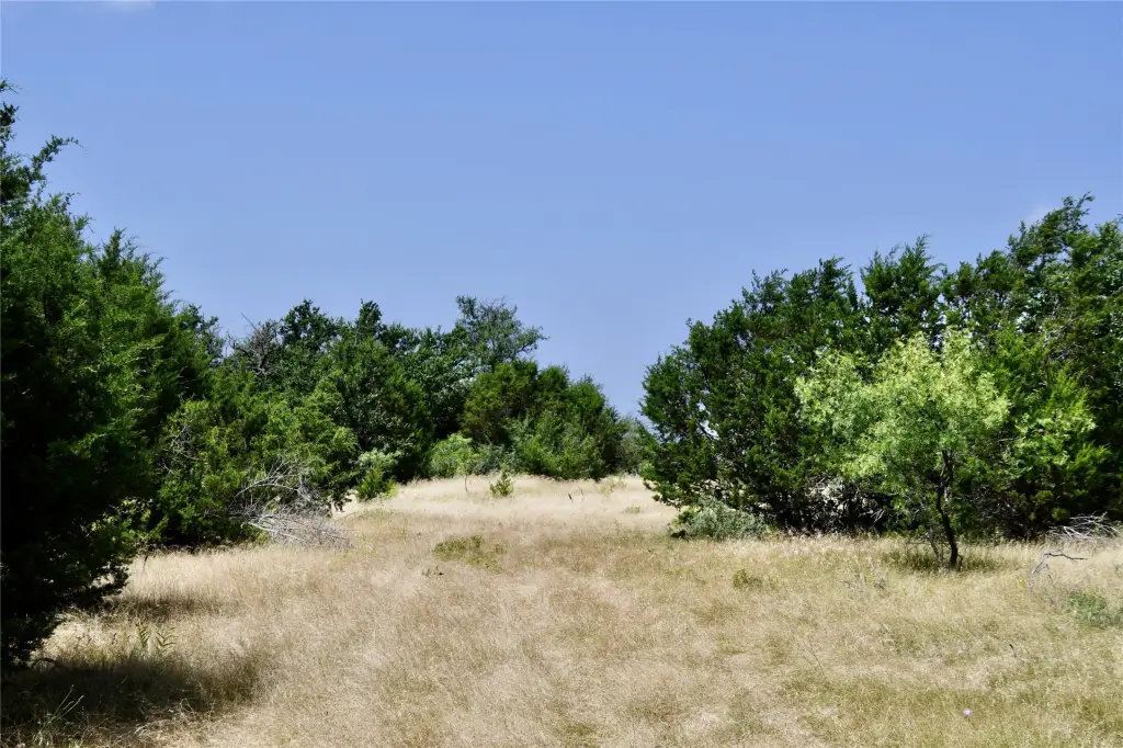 Picture 7