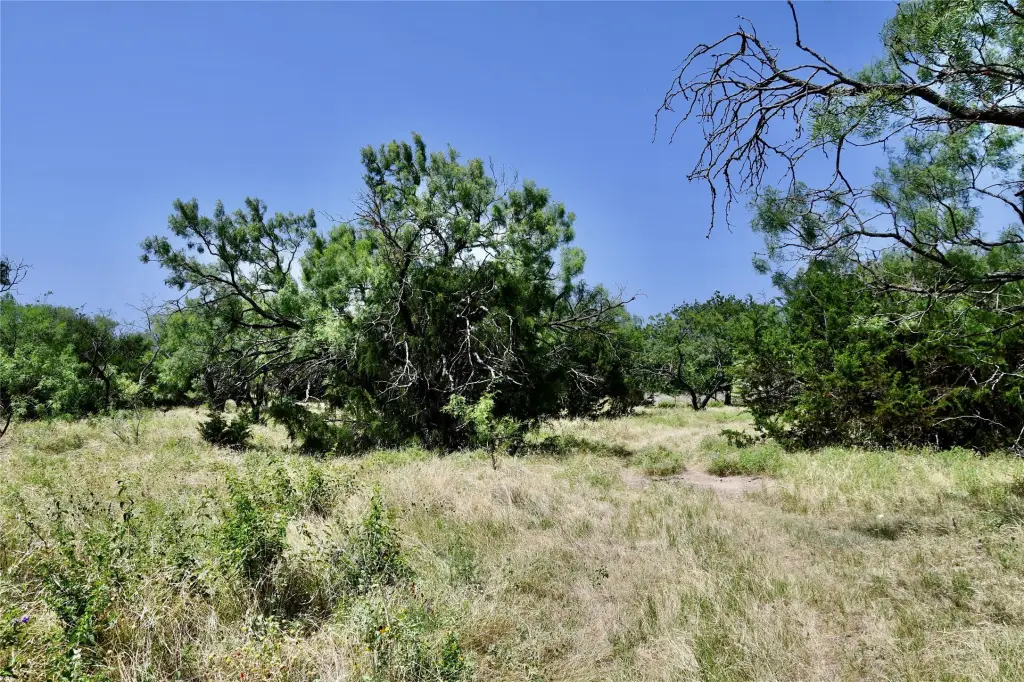 Picture 20