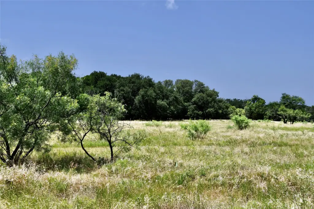 Picture 27