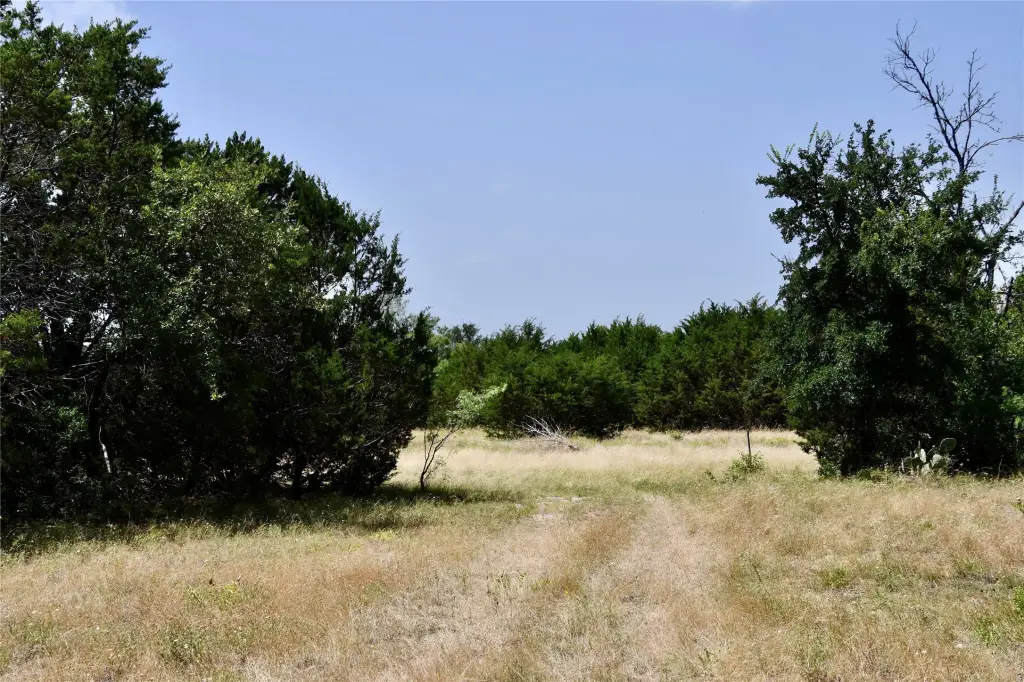 Picture 12