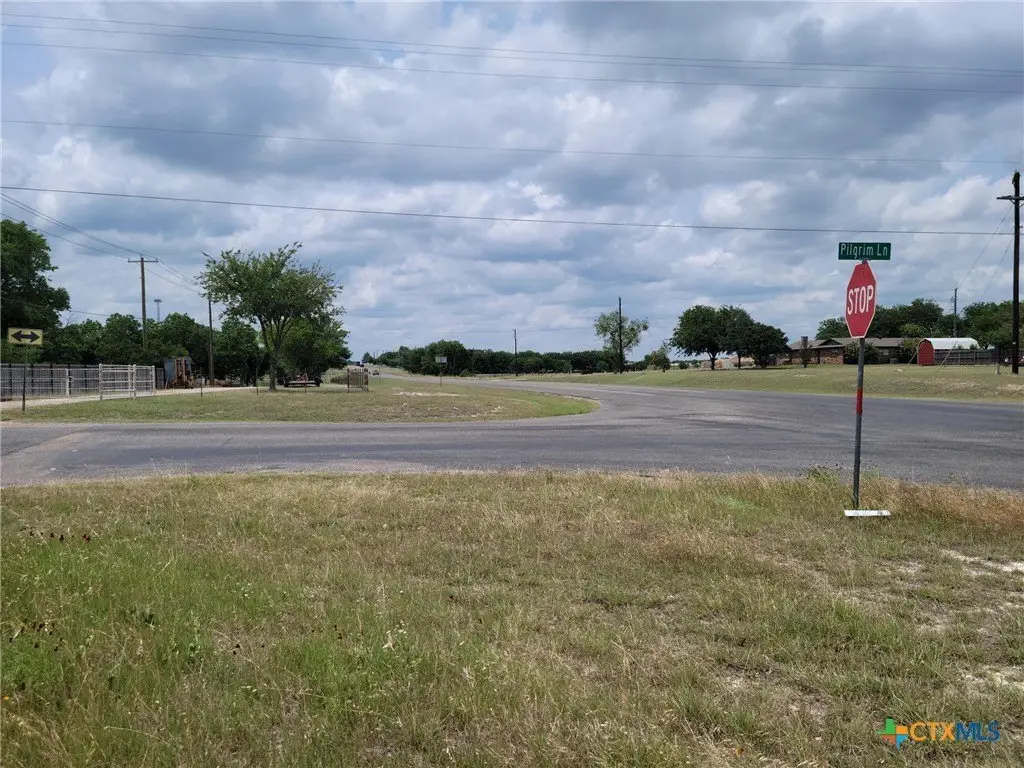 Picture 8