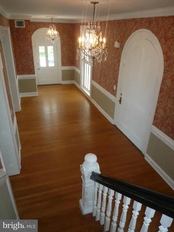 Picture 7