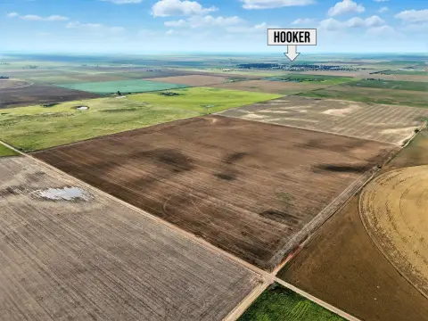 160 Acres of Farmland