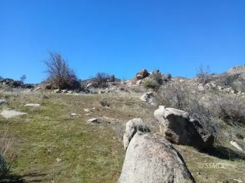 319.54 Acres Untouched CA Land