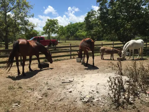 2.57 Acres Ready-to-Build Land