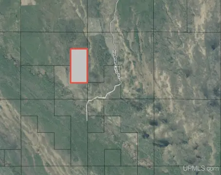 Remote Vacant Land in Manistique