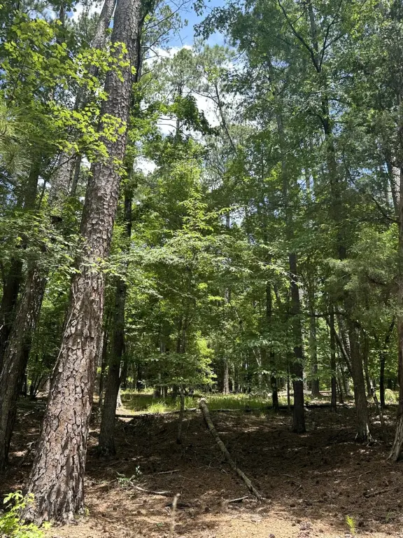 Picture 10