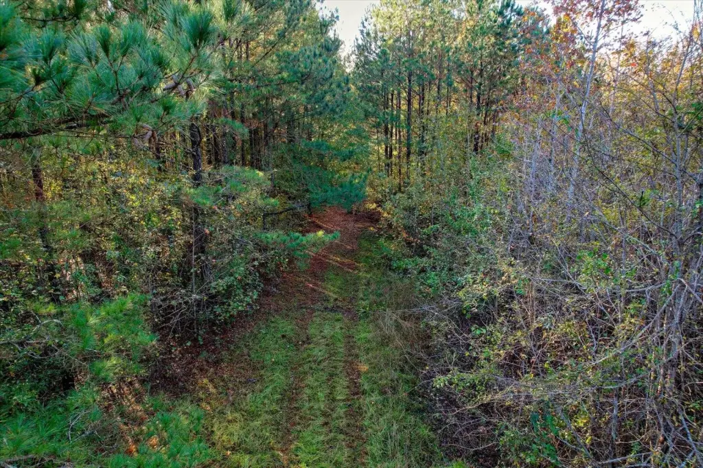 Picture 41