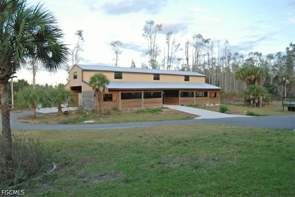 Picture 11