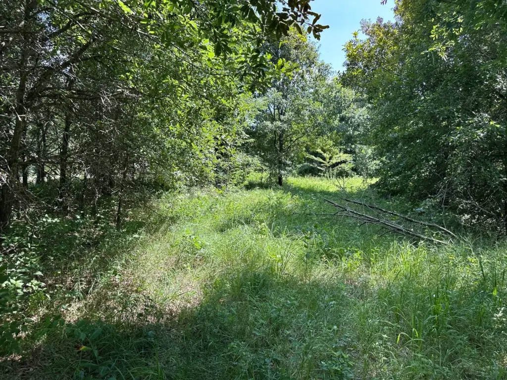Picture 18