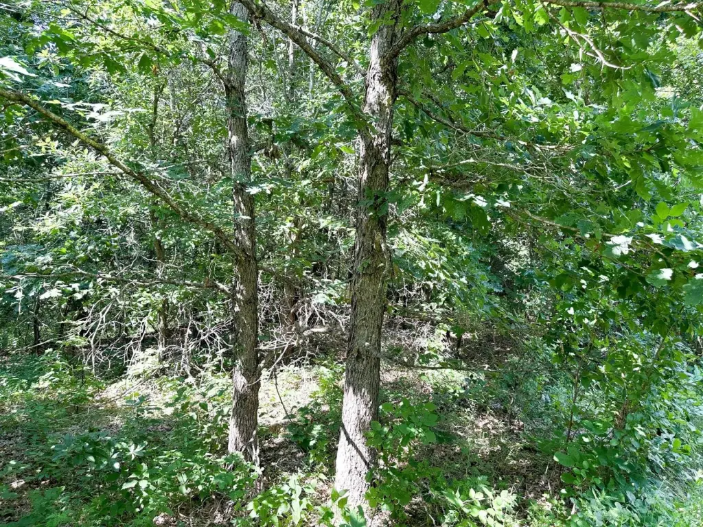 Picture 23