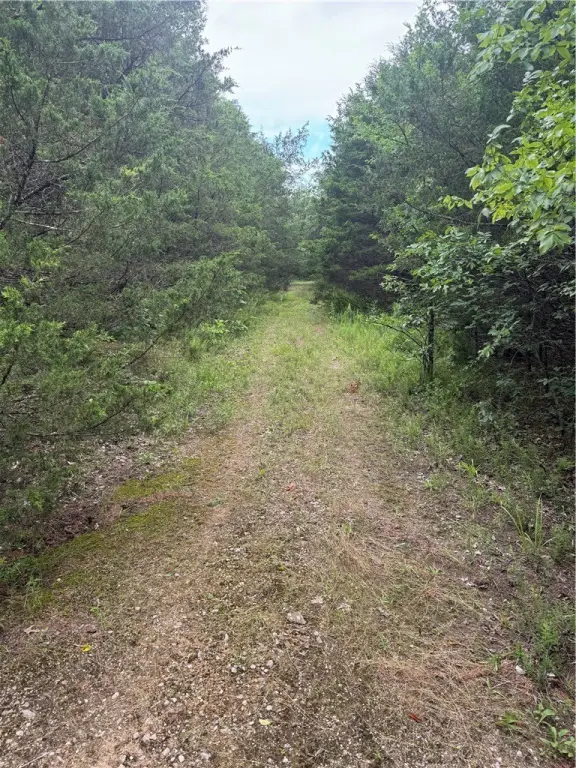 Picture 28