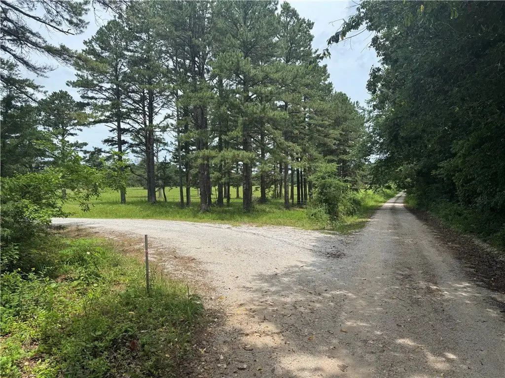 Picture 19