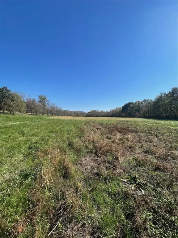 Picture 14