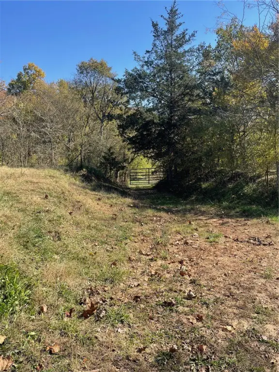 Picture 19