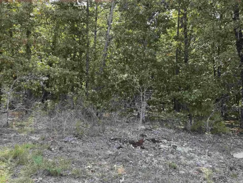 Wooded Land in Roland, Arkansas