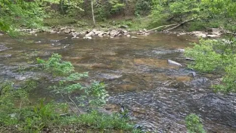 Picture of Waterfront Land at 01 Hwy 136 W, Talking Rock, GA