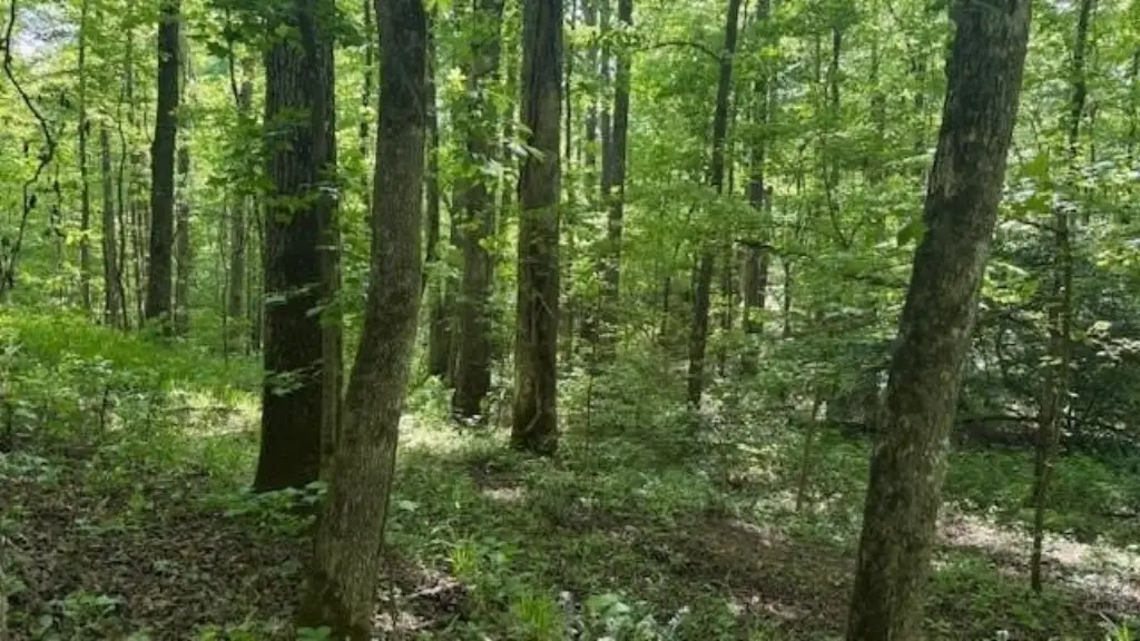 Picture 2