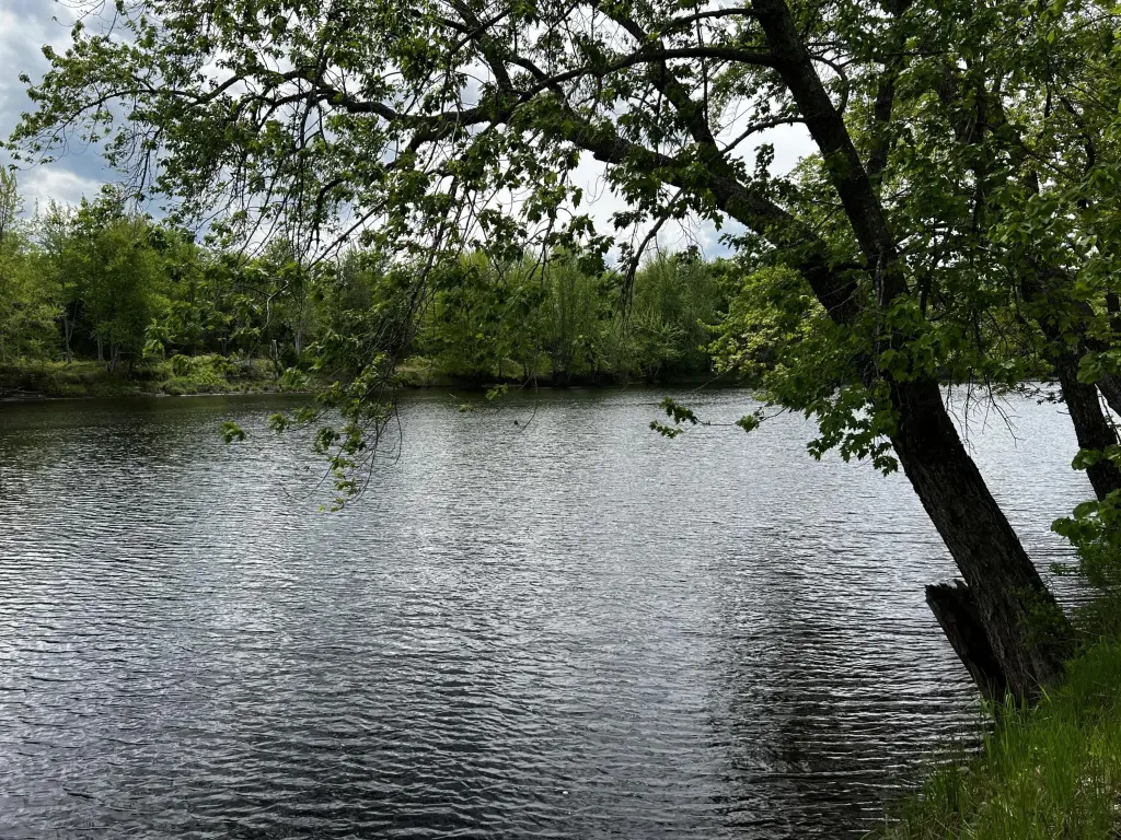 Picture 6