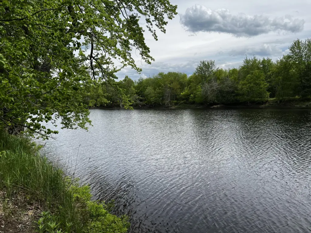Picture 5