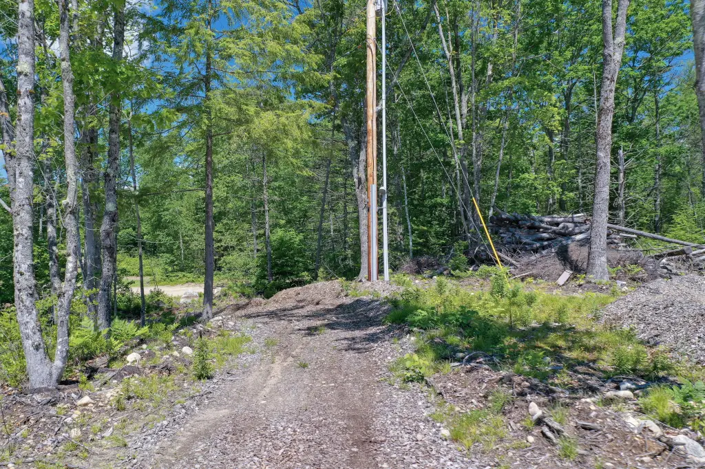 Picture 11