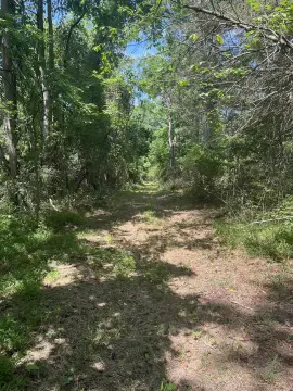 Staunton VA Building Lots