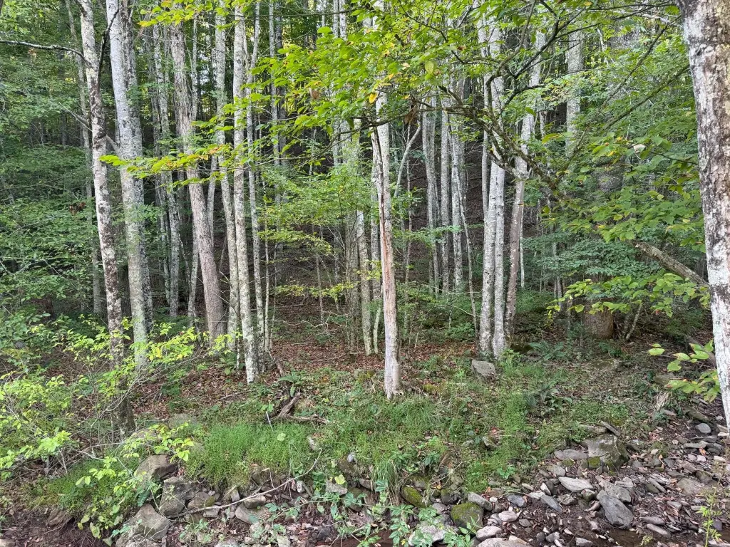 Picture 4