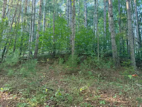 Picture of Hunting land at 4132 Cornstalk Rd, Crawley, WV
