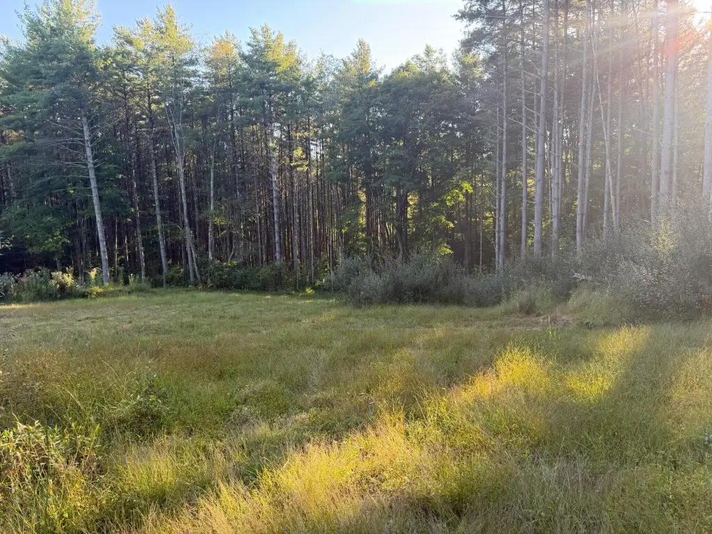 Picture 6