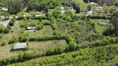 21.4 Acres in Blountsville