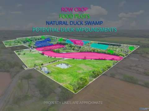 Picture of Hunting land at 412 Targum Road, Hartselle, AL