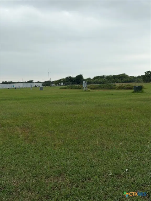 Picture 6