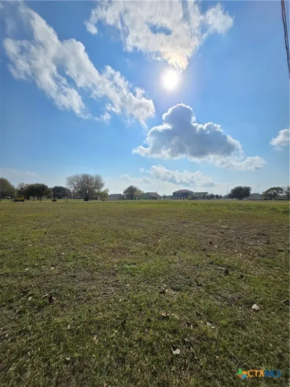 Picture 11