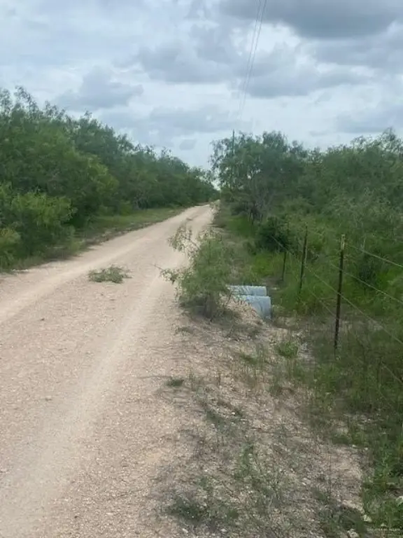Picture 3