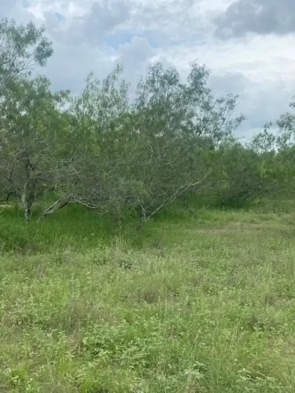 Picture 6