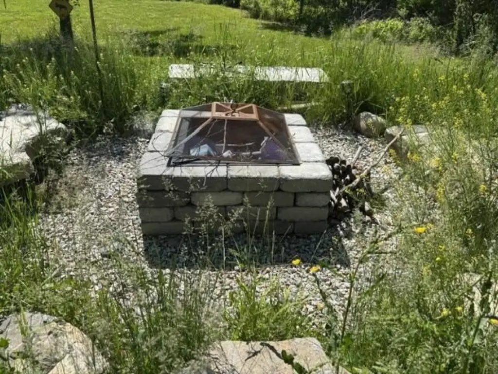 Picture 7
