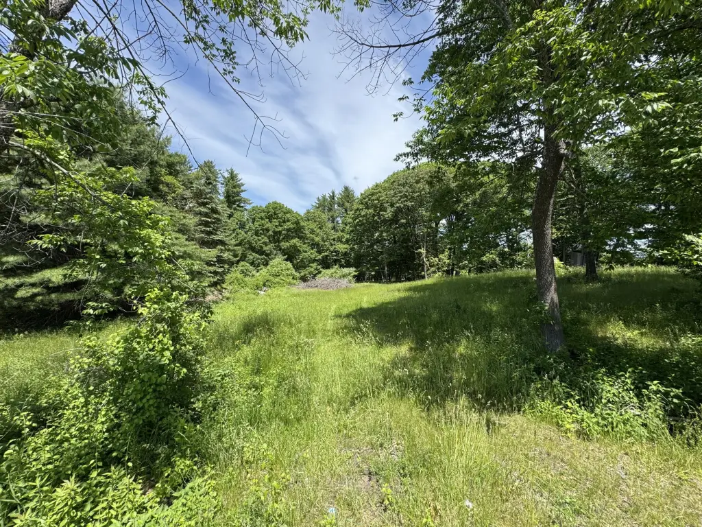 Picture 6