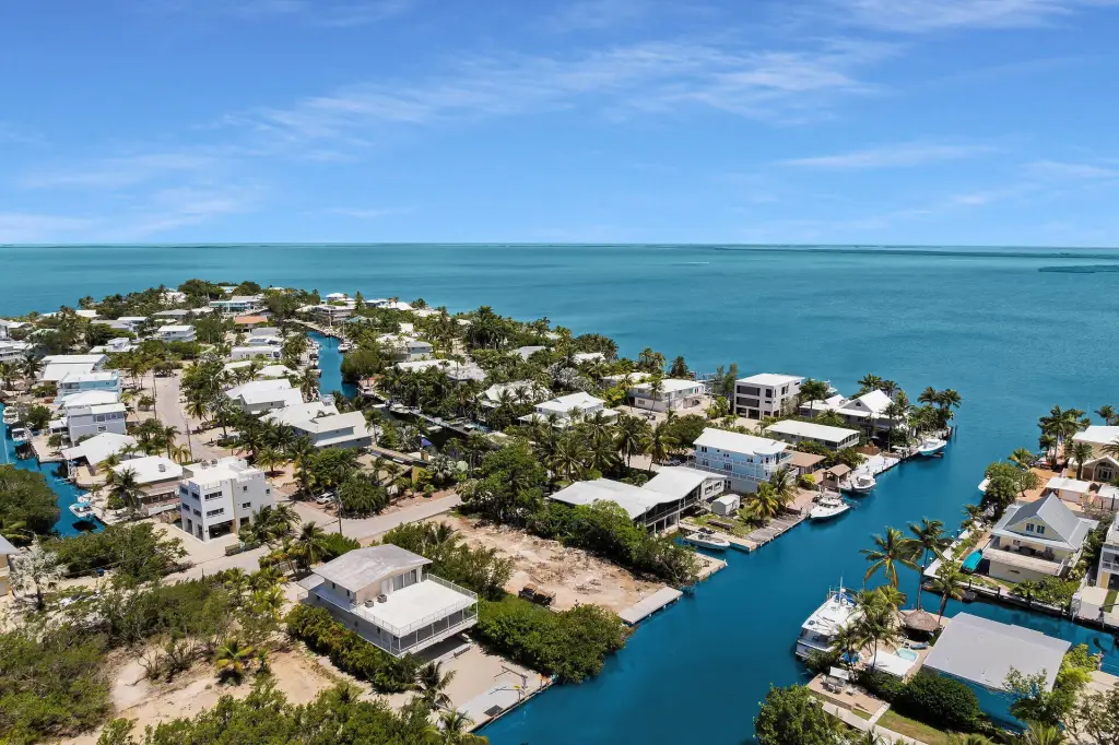 Picture 4