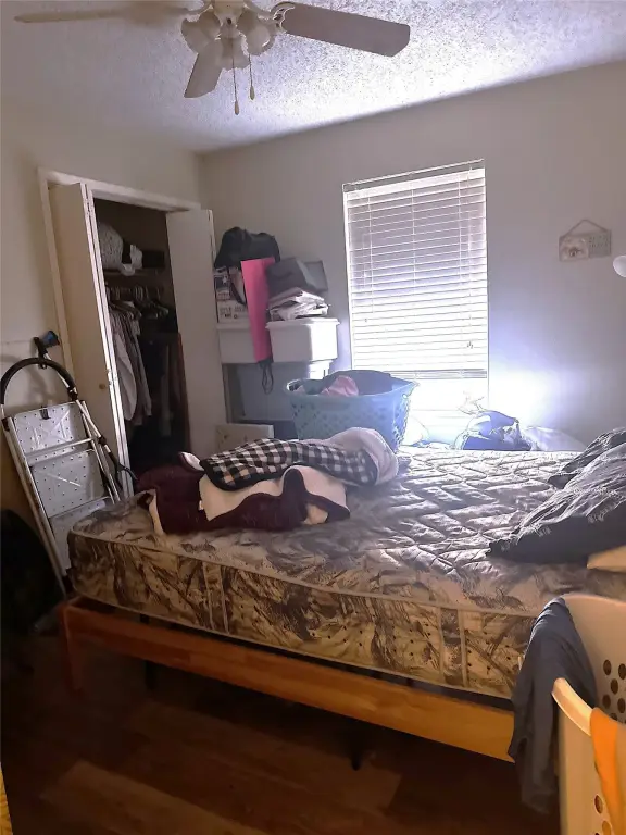 Picture 5