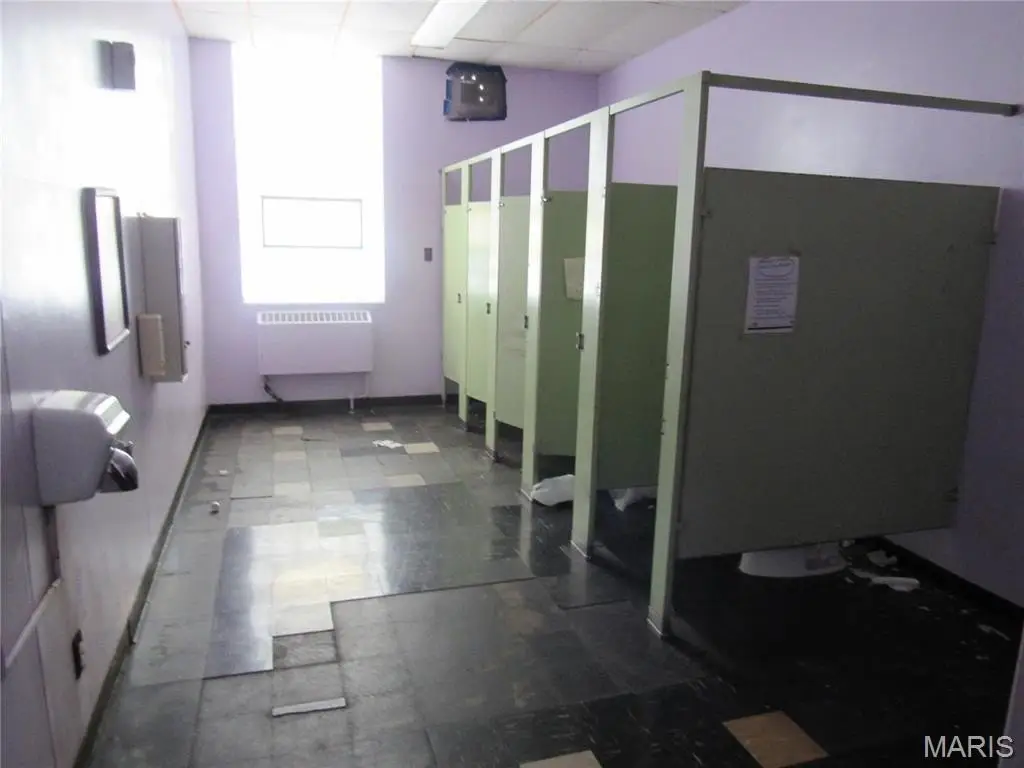 Picture 17