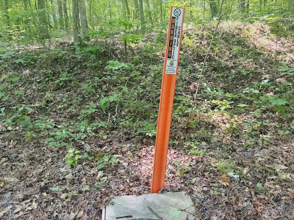Picture 5