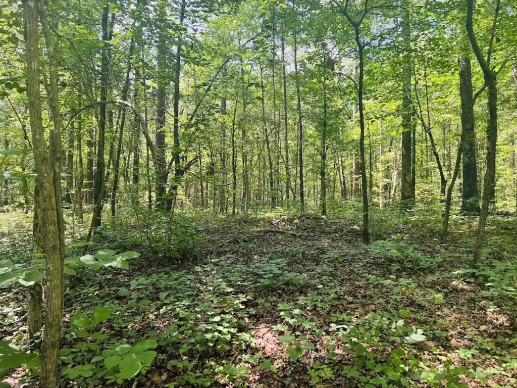 Picture 25